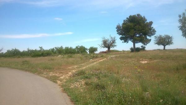 Terreno en plaza Numero 17, 550 photo 4