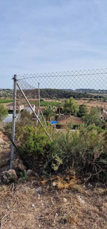 Terreno en venta en Cheste, Valencia photo 2