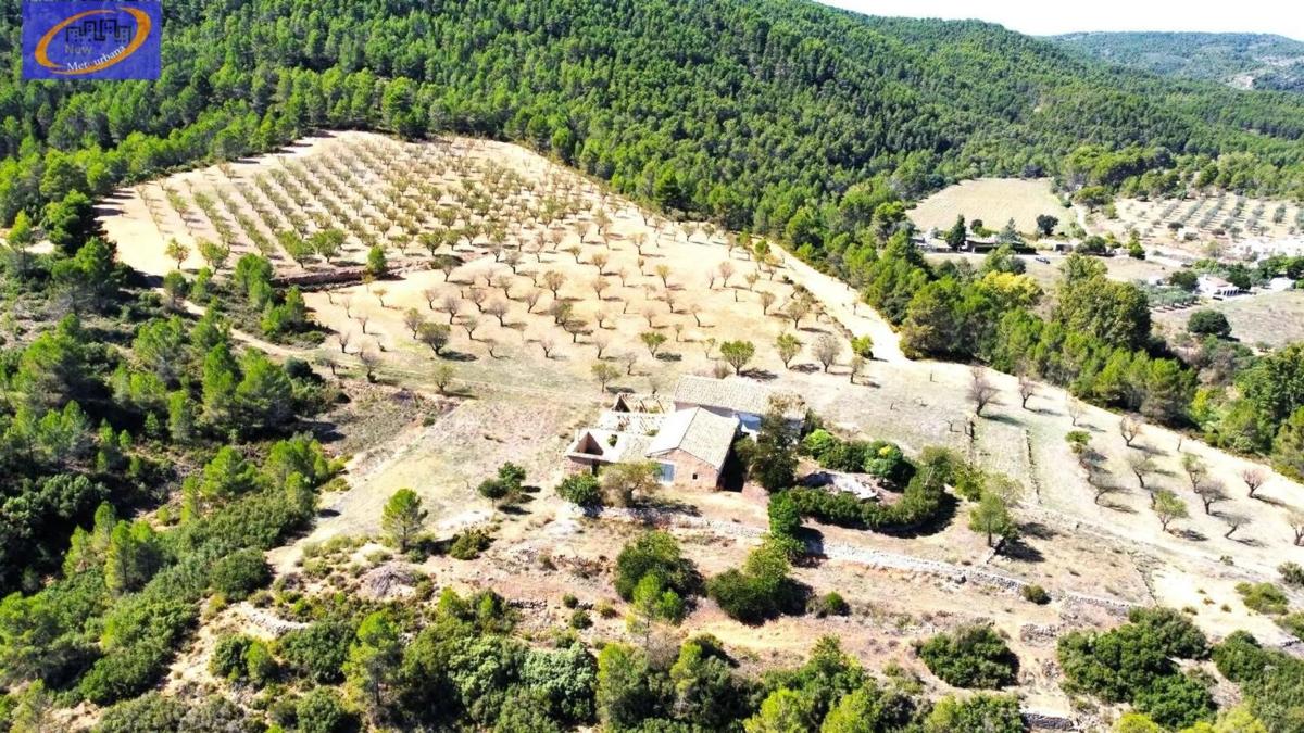 Terreno en venta en Yatova, Valencia photo 4