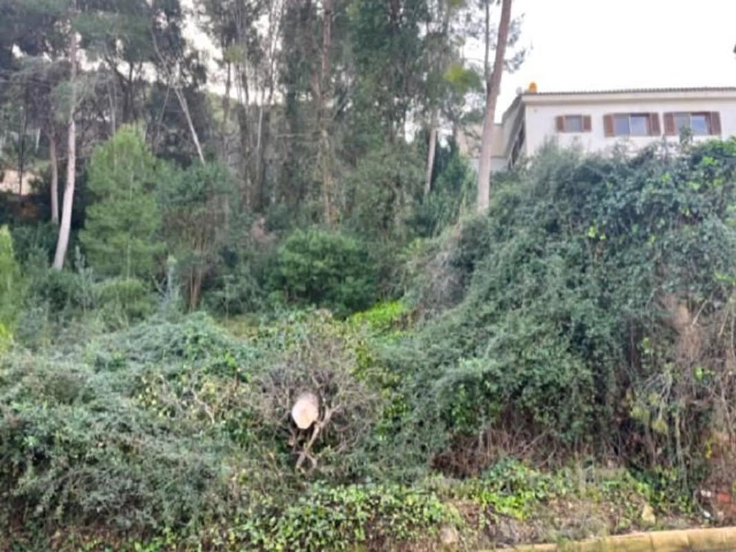 Terreno en venta en Chiva, Valencia photo 3