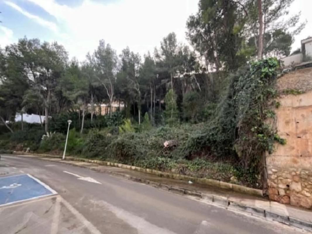 Terreno en venta en Chiva, Valencia photo 4