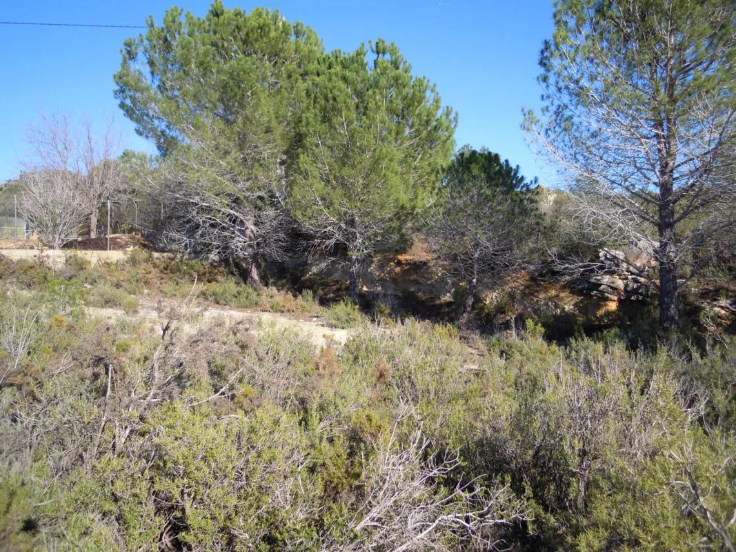 Terreno en venta en Alborache, Valencia photo 3