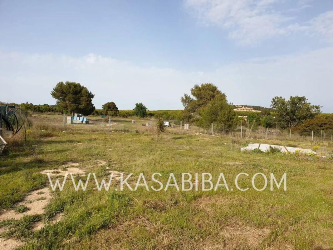 Terreno en venta en Chiva, Valencia photo 3