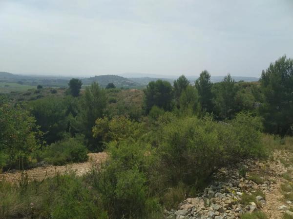Terreno en Poligono 19 s/n photo 3