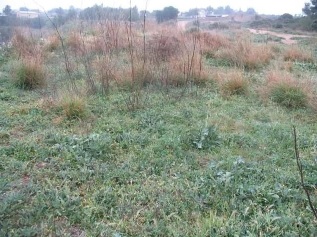 Terreno en venta en Chiva, Valencia photo 4