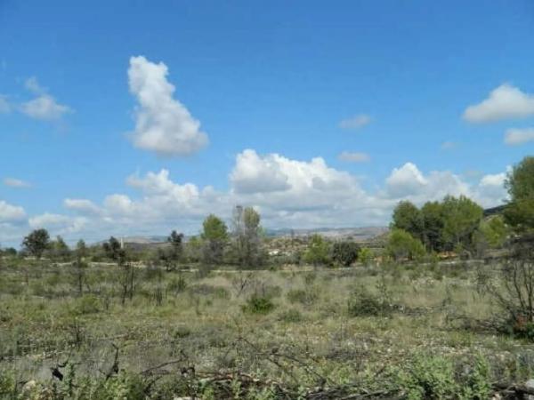 Terreno en calle Llanorel photo 4