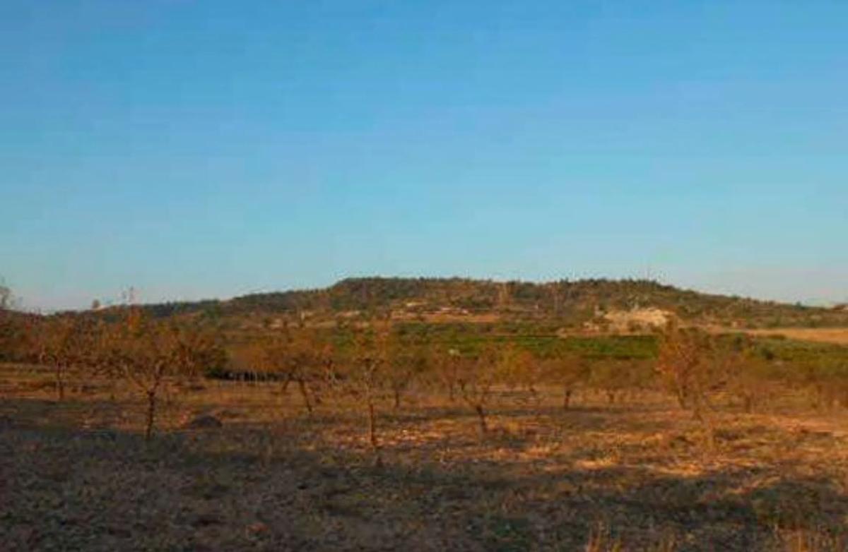 Terreno en venta en Chiva, Valencia photo 3