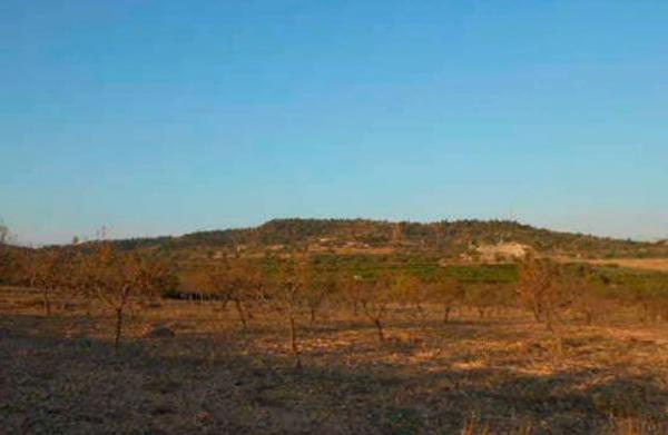 Terreno en Lugar Partida De La Cava Honda s/n thumbnail 2