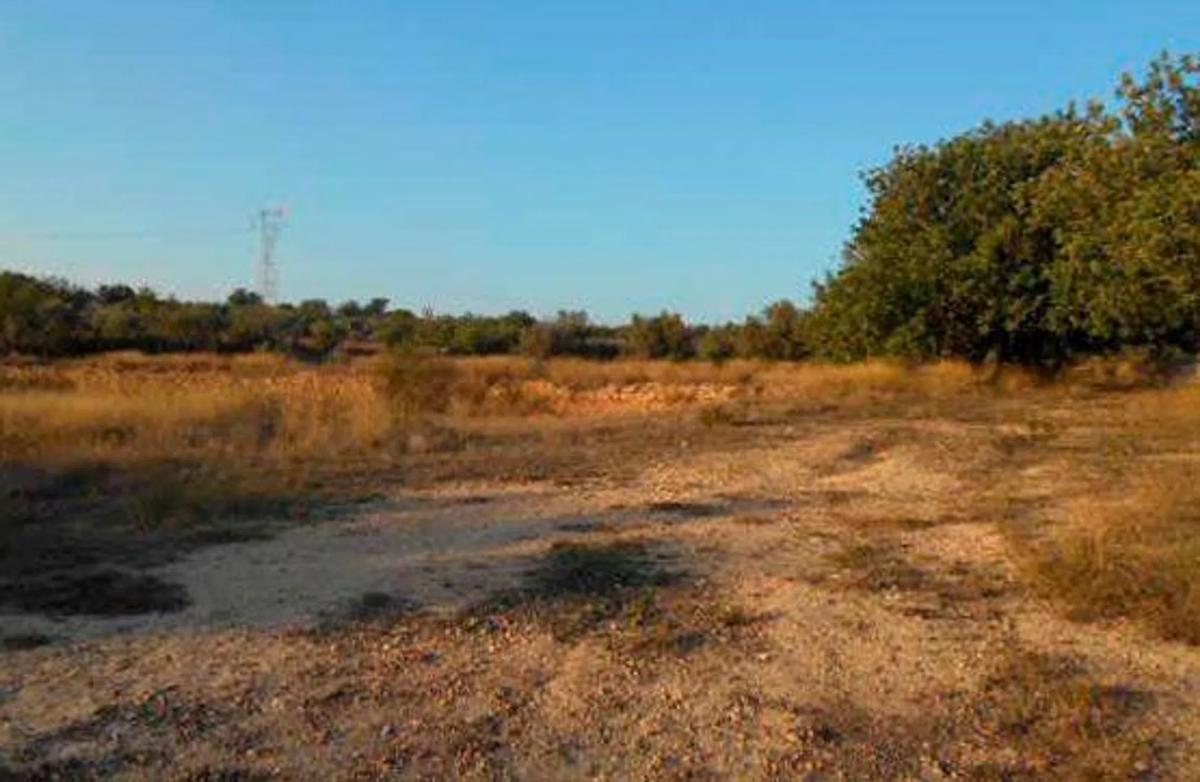 Terreno en venta en Chiva, Valencia photo 4