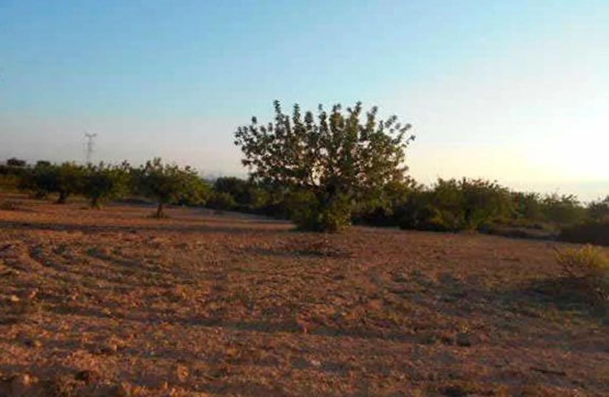 Terreno en venta en Chiva, Valencia photo 5