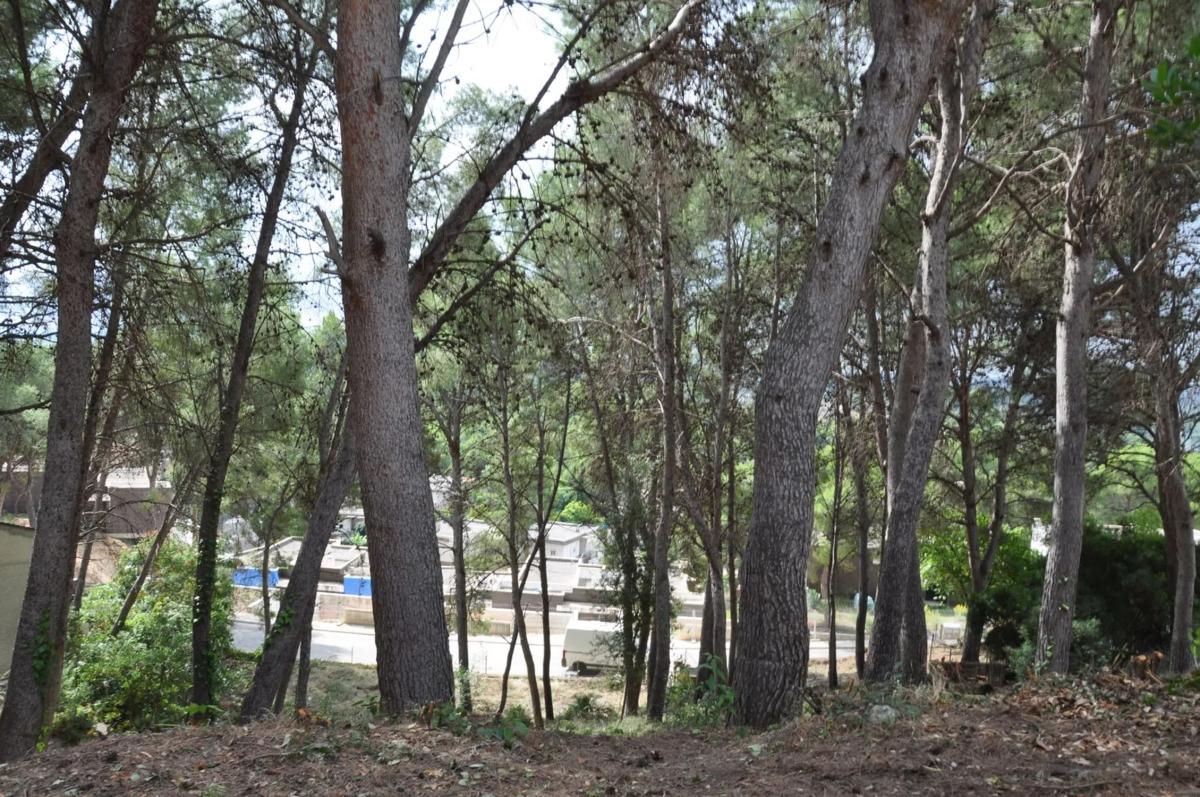 Terreno en venta en Chiva, Valencia photo 4