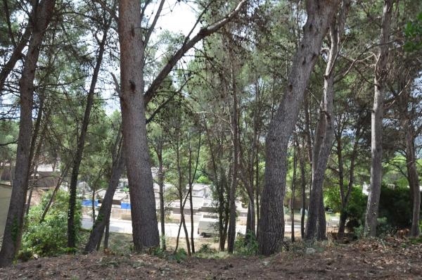 Terreno en Urbanización El Bosque. Calle 2 s/n photo 4