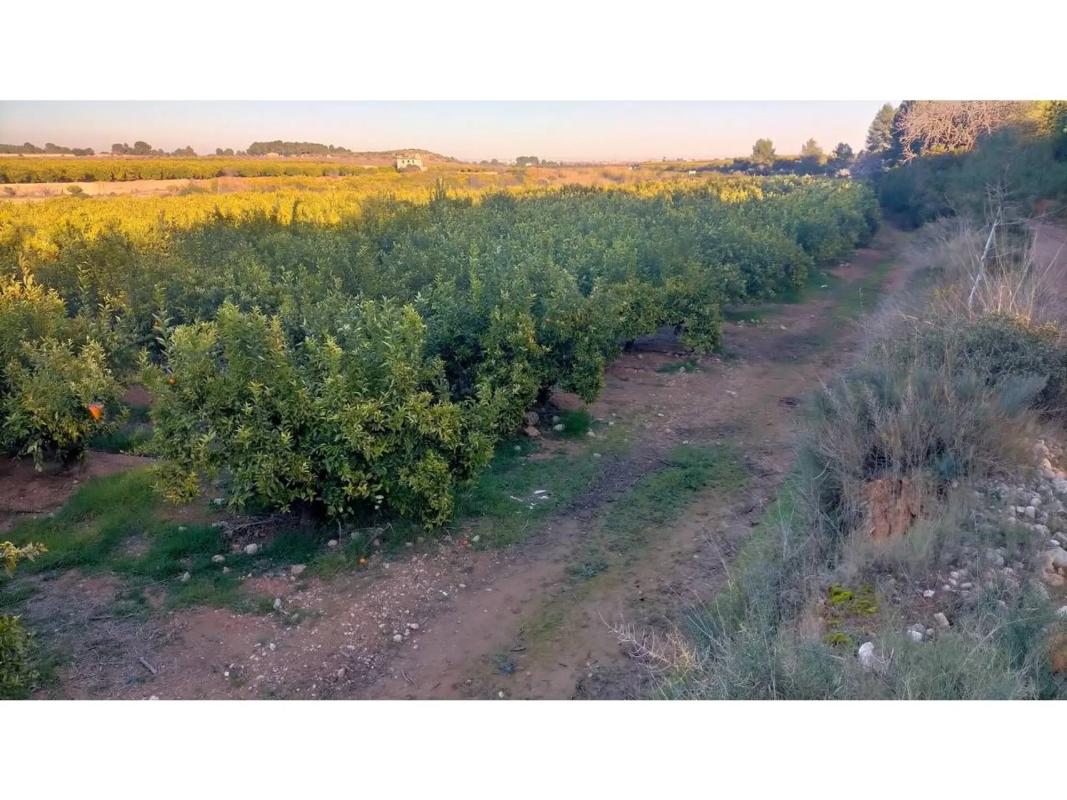 Terreno en venta en Chiva, Valencia photo 4