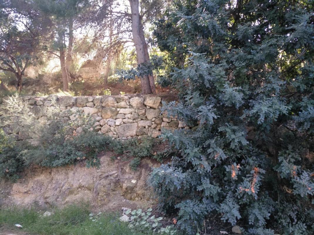 Terreno en venta en Godelleta, Valencia photo 3