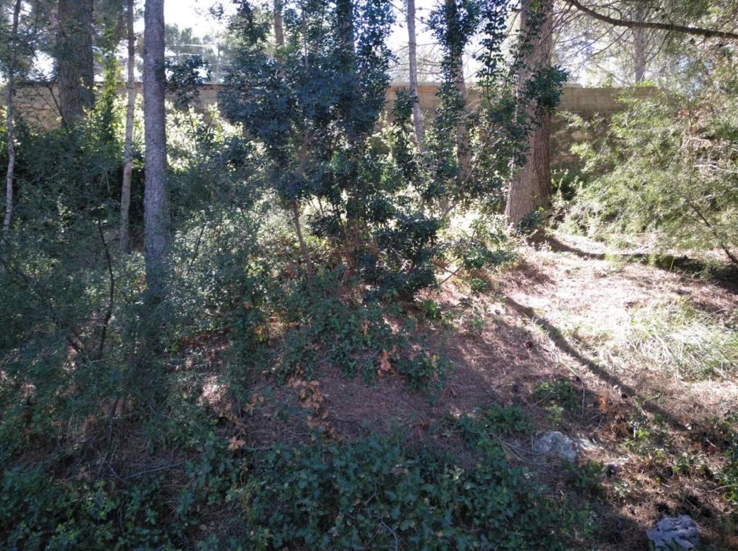 Terreno en venta en Godelleta, Valencia photo 4