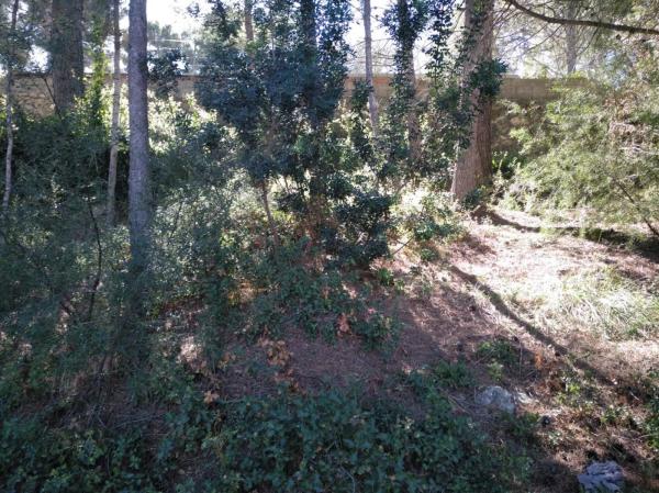 Terreno en Godelleta photo 4