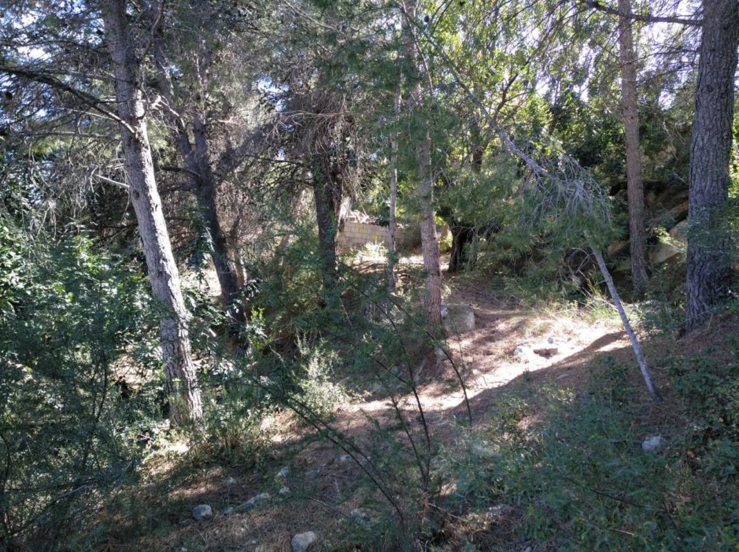 Terreno en venta en Godelleta, Valencia photo 5