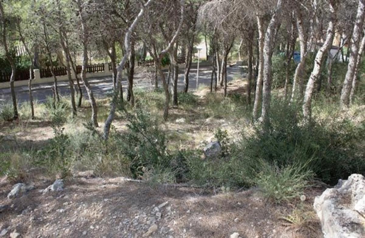 Terreno en venta en Chiva, Valencia photo 5