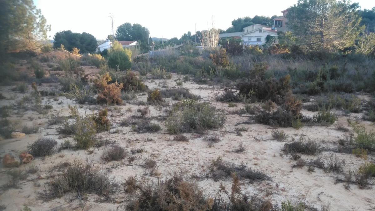 Terreno en venta en Godelleta, Valencia photo 5