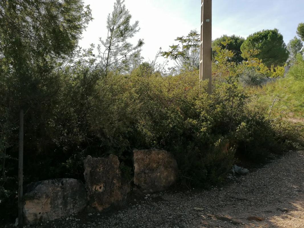 Terreno en venta en Godelleta, Valencia photo 3