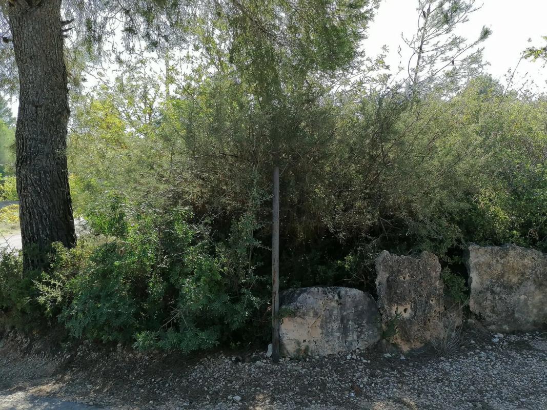Terreno en venta en Godelleta, Valencia photo 4
