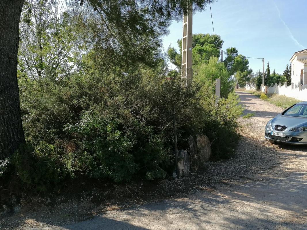 Terreno en venta en Godelleta, Valencia photo 5