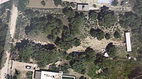 Terreno en Godelleta photo 1
