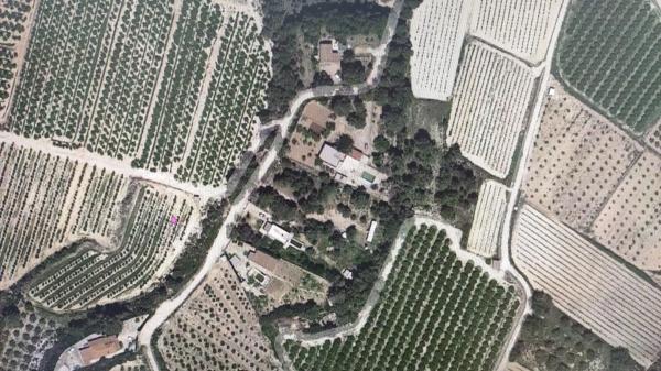 Terreno en Godelleta photo 4
