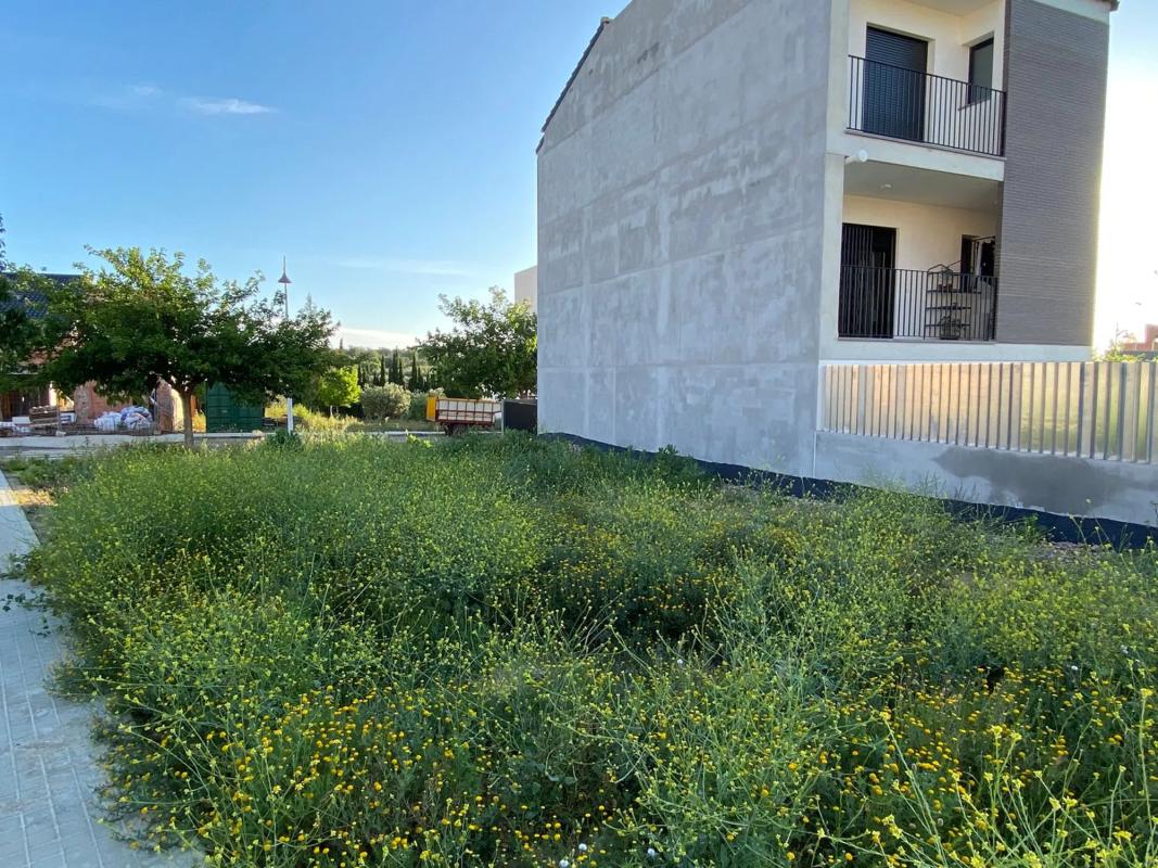 Terreno en venta en Cheste, Valencia photo 3