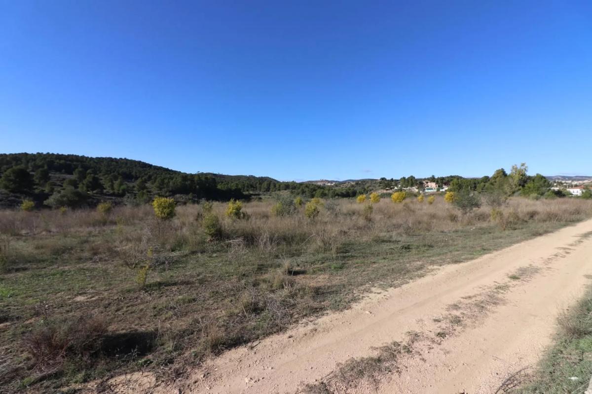 Land for sale in Alborache, Valencia photo 1