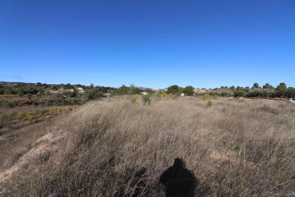 Land for sale in Alborache, Valencia photo 5