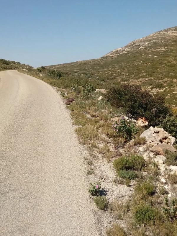 Terreno en venta en Dos Aguas, Valencia photo 2