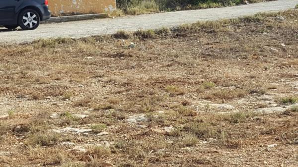 Terreno en urbanización loma de los caballeros, 1 photo 1