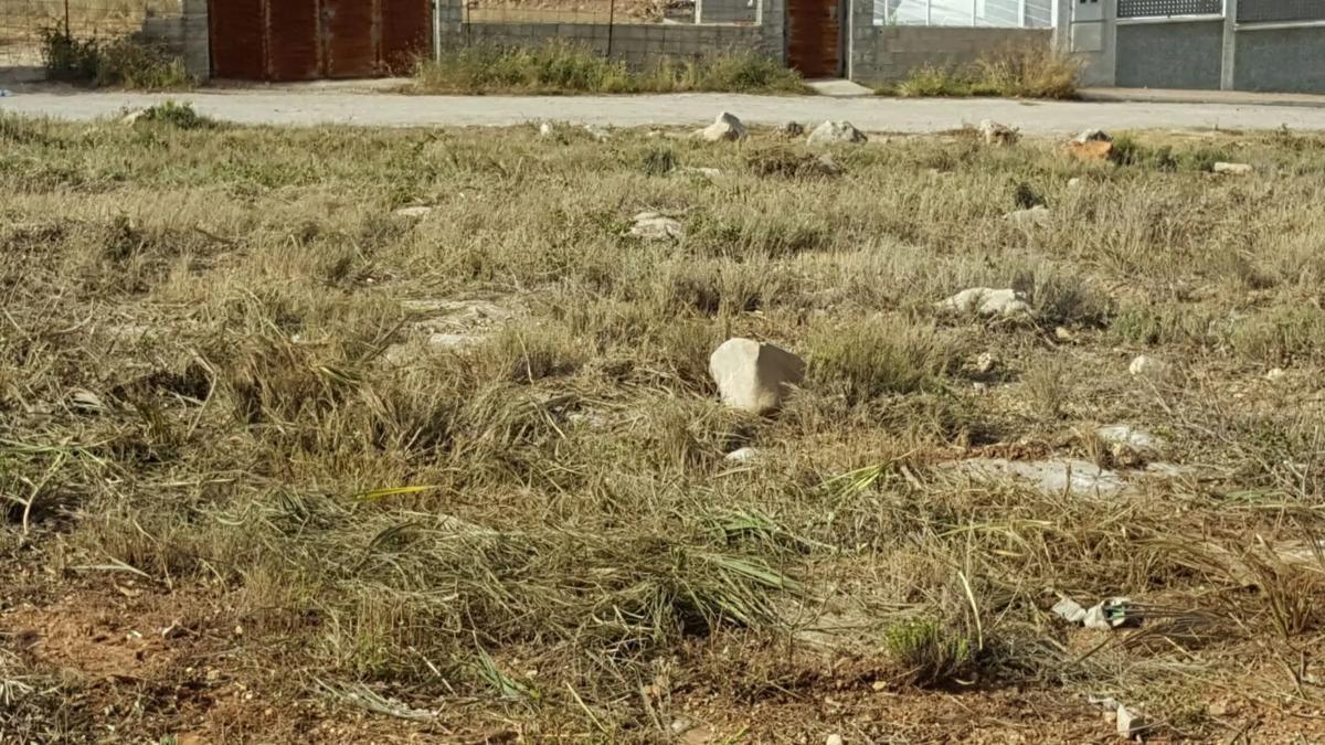 Terreno en venta en Godelleta, Valencia photo 3