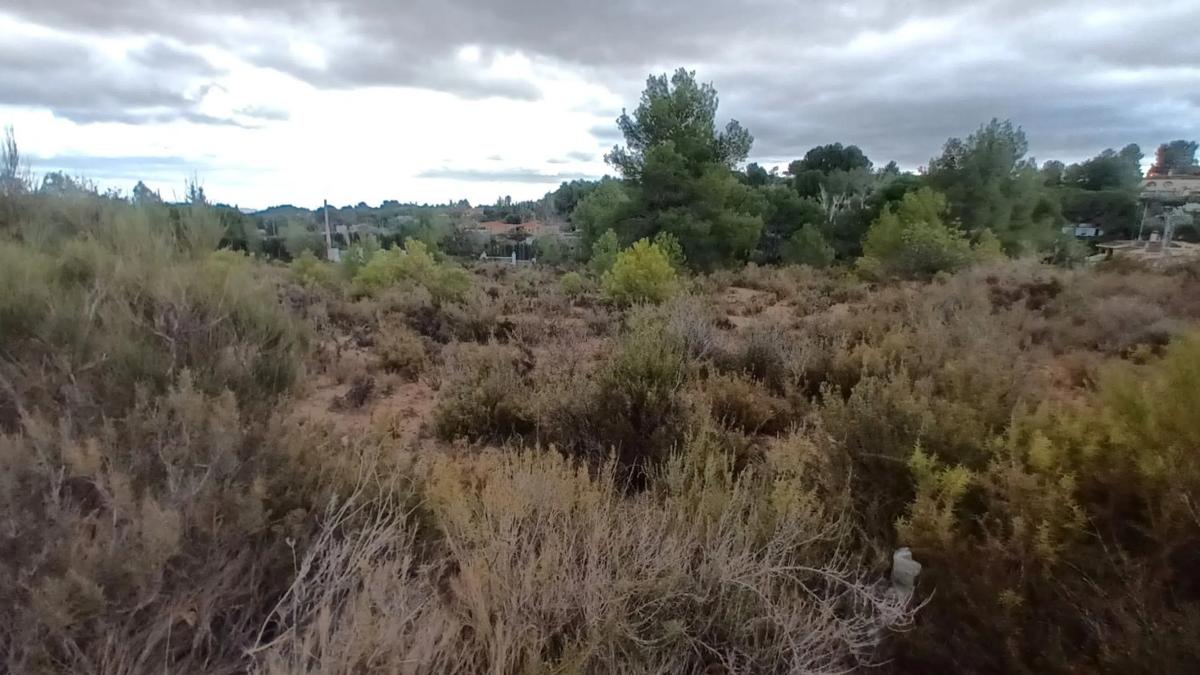 Terreno en venta en Godelleta, Valencia photo 4
