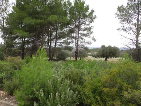 Terreno en Urbanització Llanorel 11 thumbnail 2
