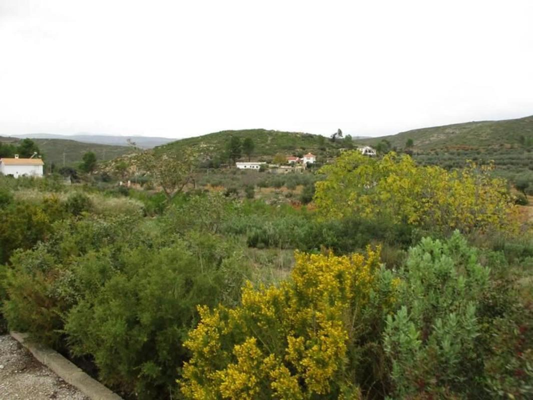 Terreno en venta en Macastre, Valencia photo 3