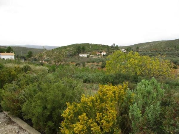 Terreno en Urbanització Llanorel 11 thumbnail 2