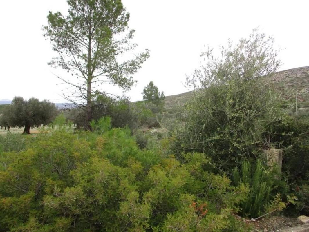 Działka na sprzedaż w Macastre, Walencja photo 4