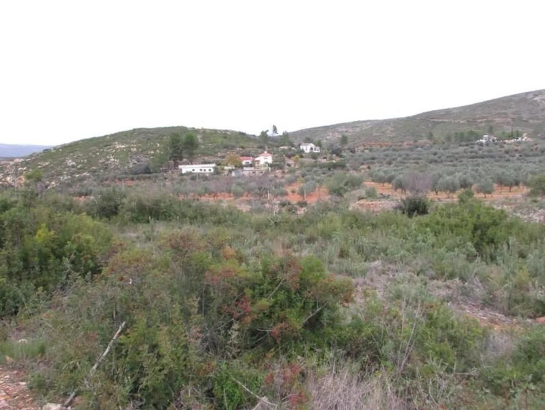 Участок земли на продажу в Макасре, Валенсия photo 4