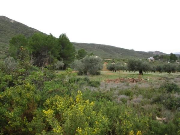 Terreno en calle Llanorel thumbnail 1