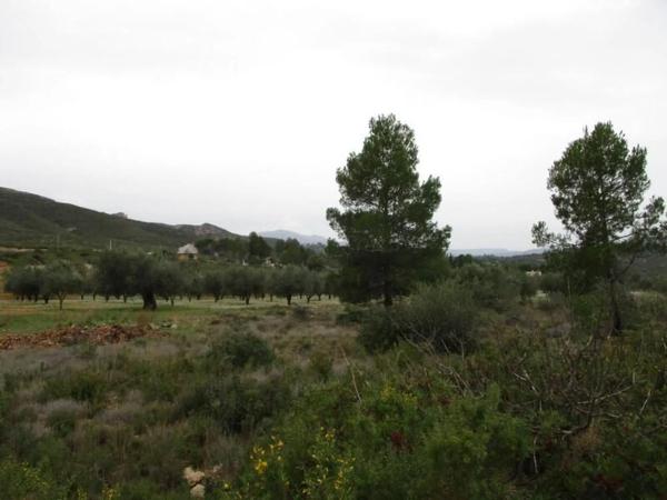 Terreno en calle Llanorel photo 4