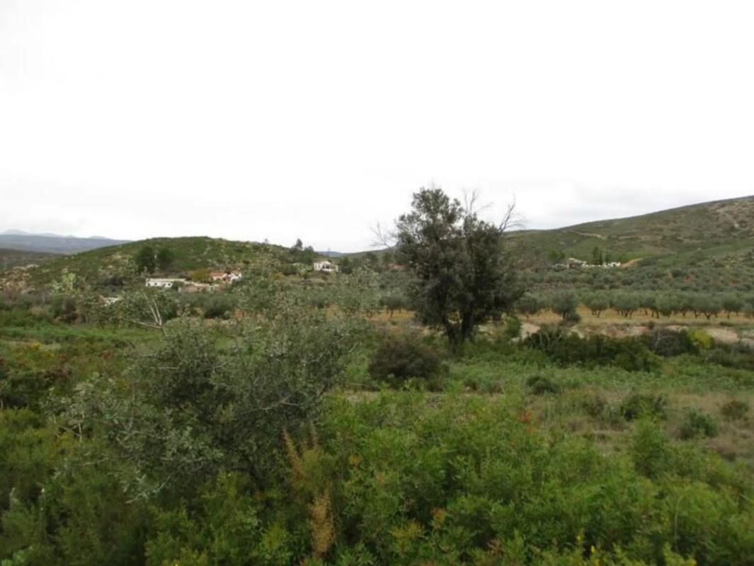 Terreno en venta en Macastre, Valencia photo 4