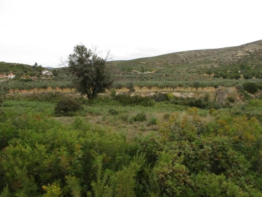 Terreno en venta en Macastre, Valencia photo 5