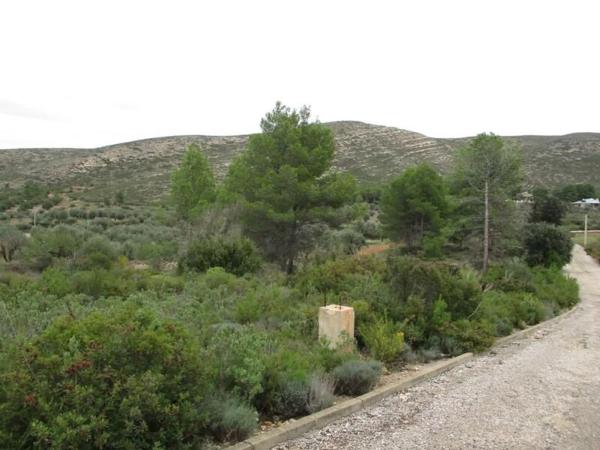Terreno en calle Llanorel thumbnail 1