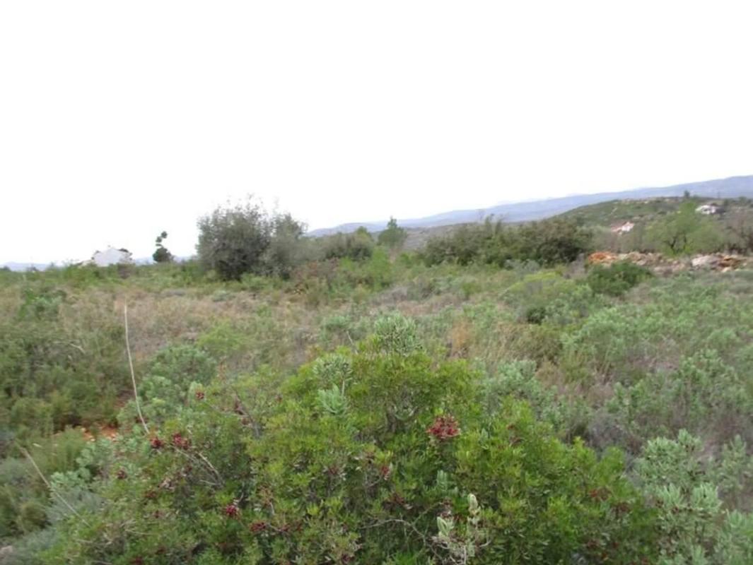 Участок земли на продажу в Макасре, Валенсия photo 3