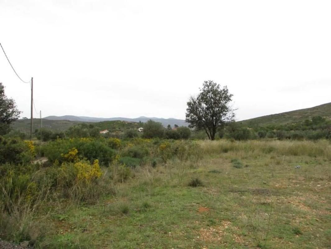 Terreno en venta en Macastre, Valencia photo 3
