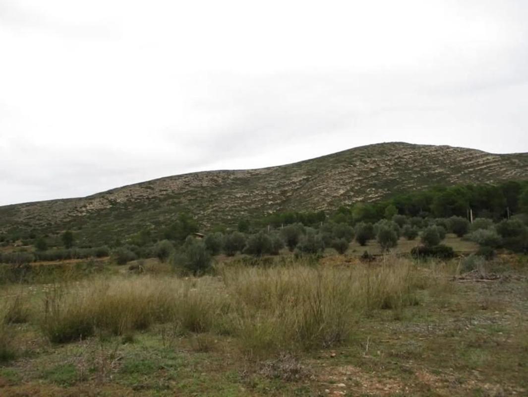 Terreno en venta en Macastre, Valencia photo 5