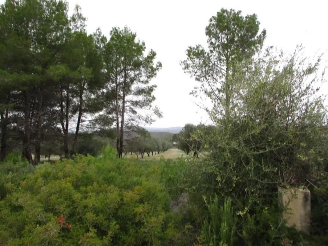 Terreno en venta en Macastre, Valencia photo 2