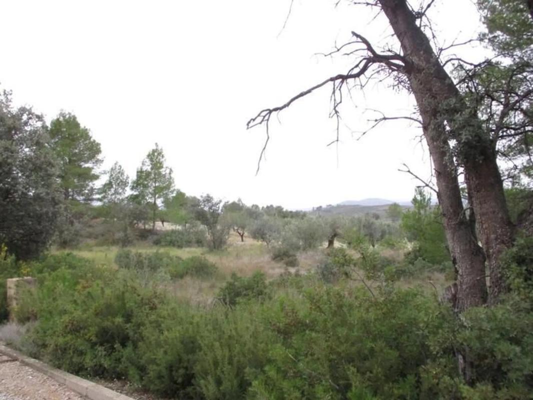 Terreno en venta en Macastre, Valencia photo 2